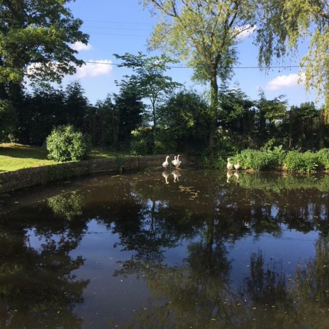 Appartement Au coeur de la Flandre à Noordpeene Extérieur photo