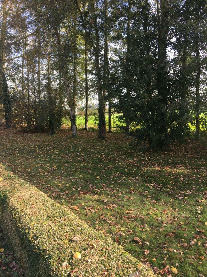 Appartement Au coeur de la Flandre à Noordpeene Extérieur photo