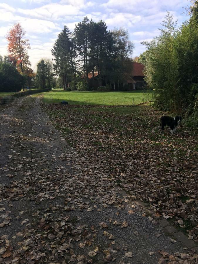 Appartement Au coeur de la Flandre à Noordpeene Extérieur photo