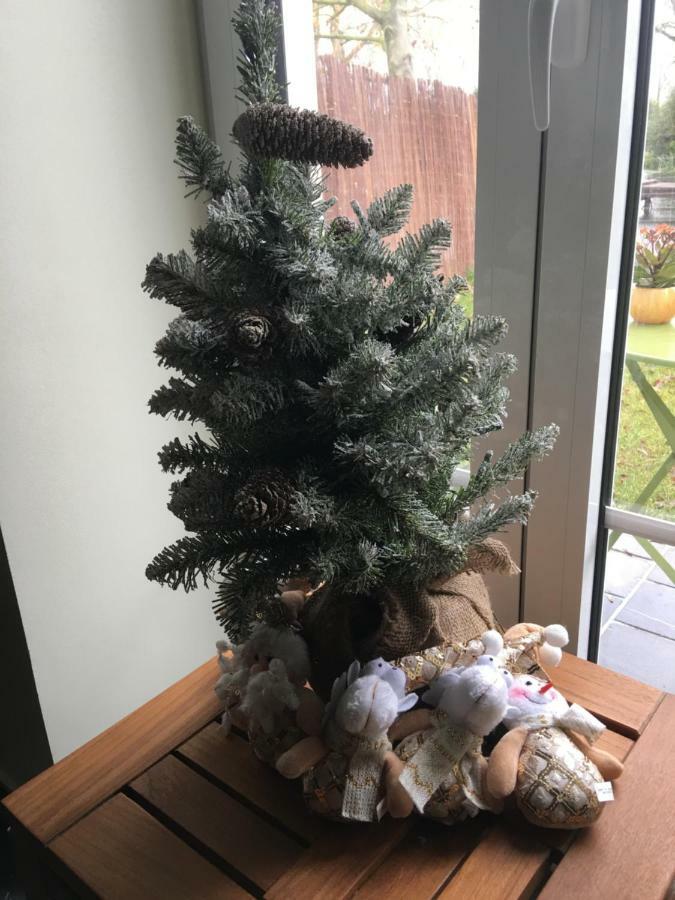 Appartement Au coeur de la Flandre à Noordpeene Extérieur photo