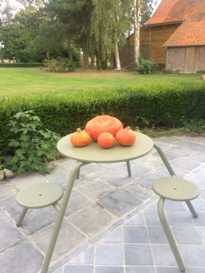 Appartement Au coeur de la Flandre à Noordpeene Extérieur photo